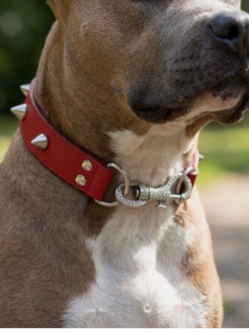Dior Rhinestone spike Dog collar necklace